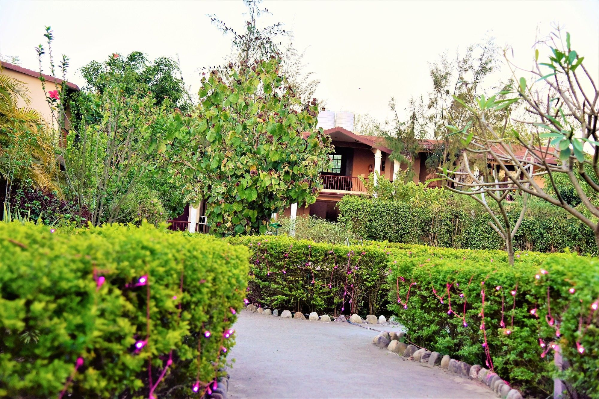 Palette Alaya Resort, Corbett Nainital Exterior foto